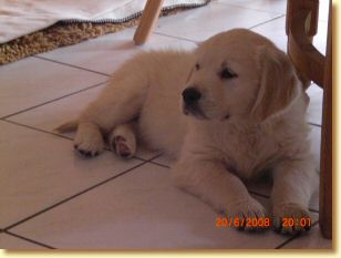 Knapp Teddy 293.JPG